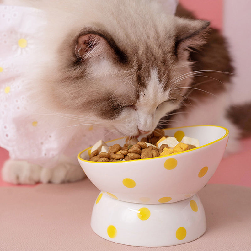 Round Point Cat Bowl