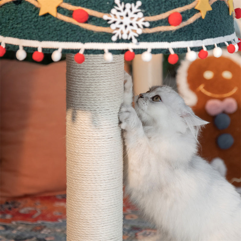 Rotating Music Box Cat Scratcher