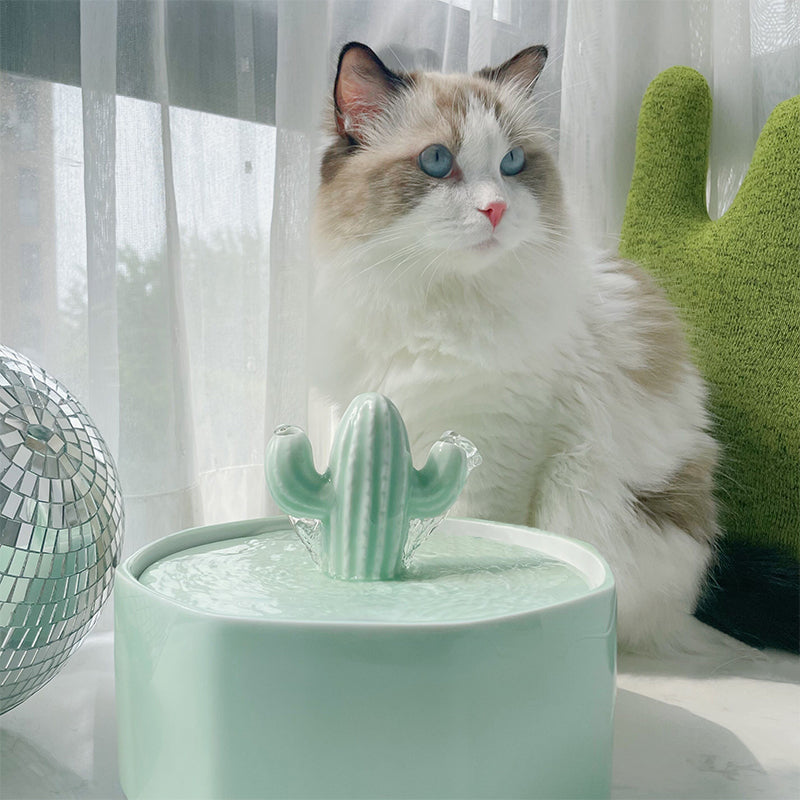 50oz/1.5L Cactus Style Cat Water Fountain