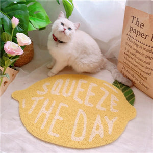 Fruit Series Cat Litter Mat