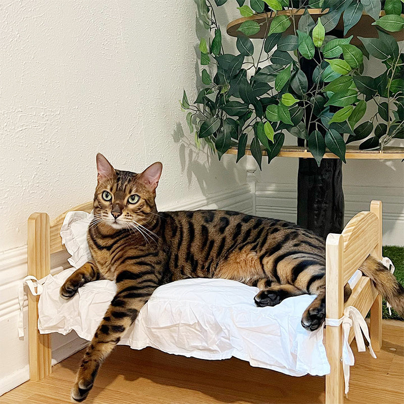 Adorable Wooden Cat Bed