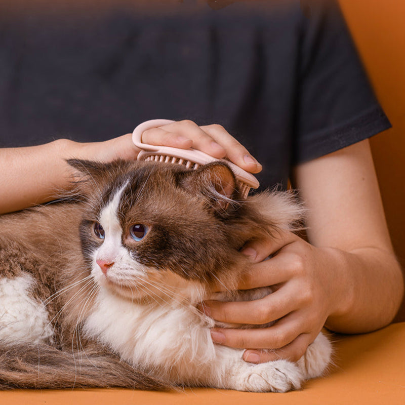 Massage Brush Cat Groom