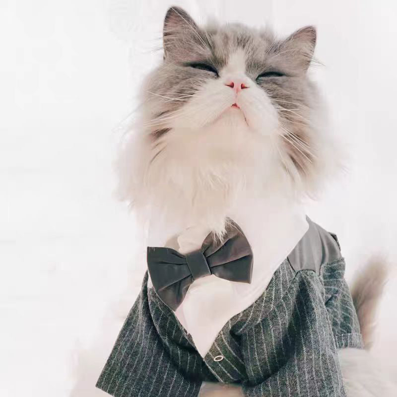 Stylish Cat Wedding Tuxedo