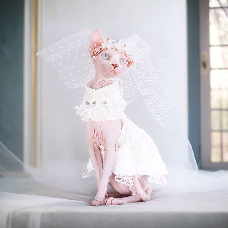 Elegant Cat Wedding Dress with Veil