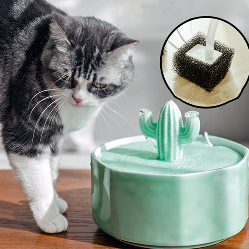 50oz/1.5L Cactus Style Cat Water Fountain