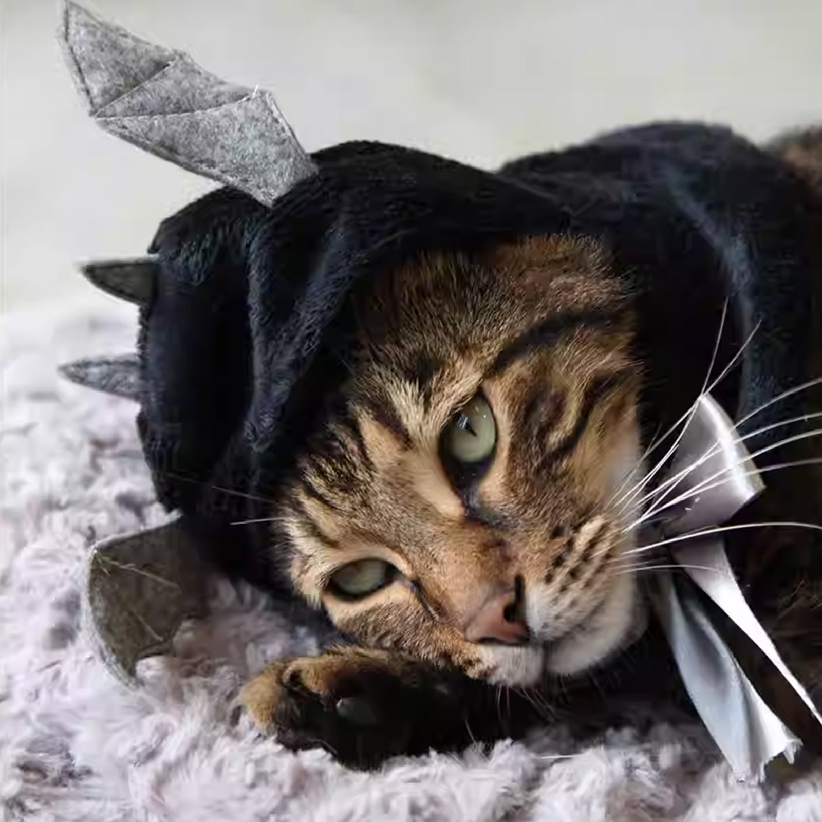 Halloween Bat Wing Cape with Hood for Cats