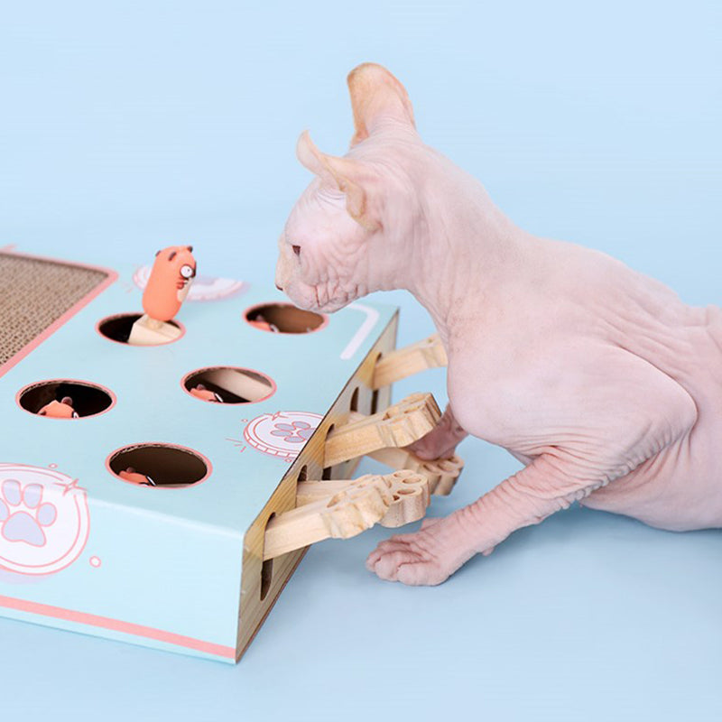 Interactive Hit Hamster Cat Toy