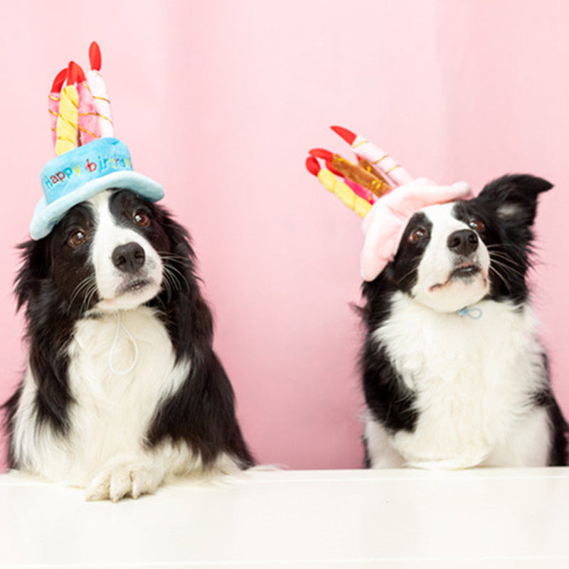 Pet Happy Birthday Hat