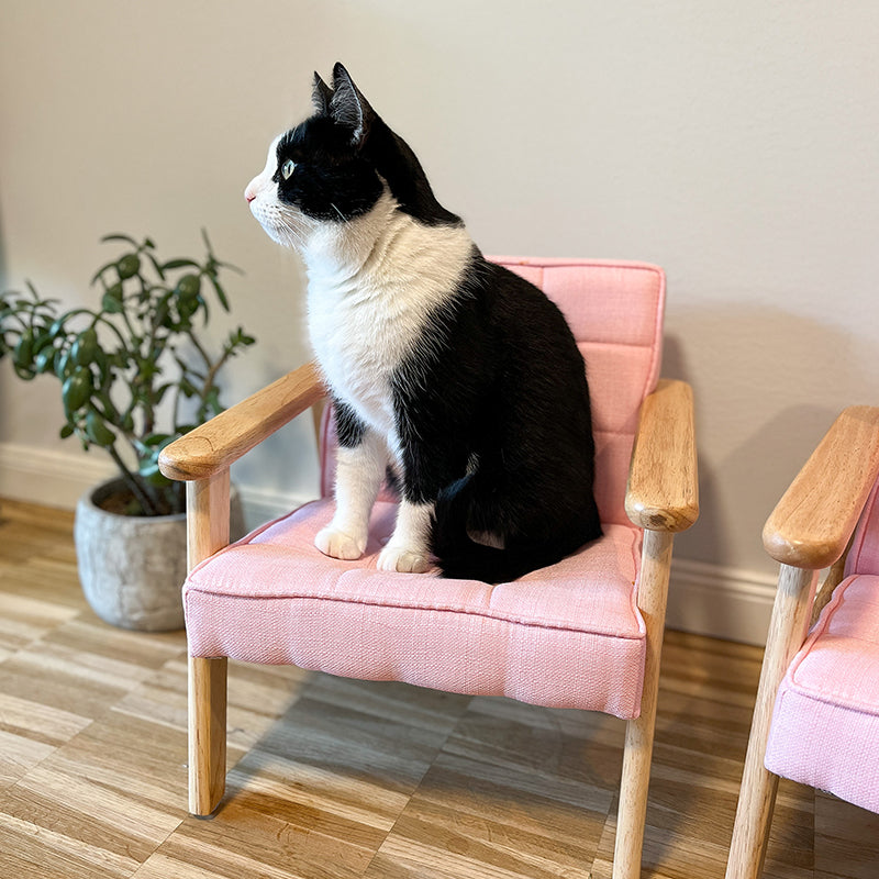 Wood Backrest Cat Sofa Chair