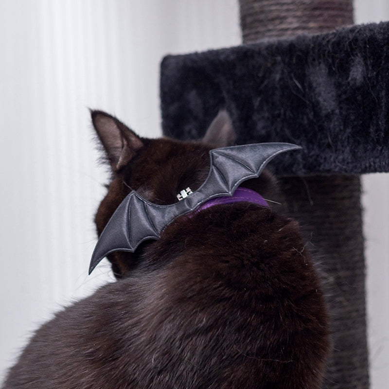 Devil Wing Collar for Cats and Humans