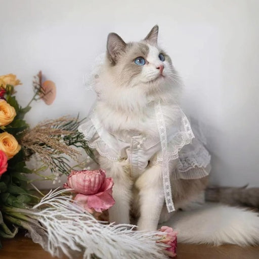 Lolita Princess Cat Wedding Dress