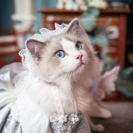 Lolita Princess Cat Wedding Dress