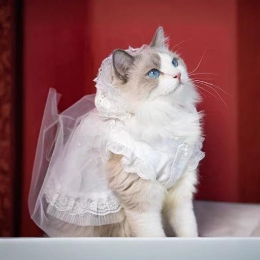 Lolita Princess Cat Wedding Dress