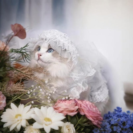 Lolita Princess Cat Wedding Dress