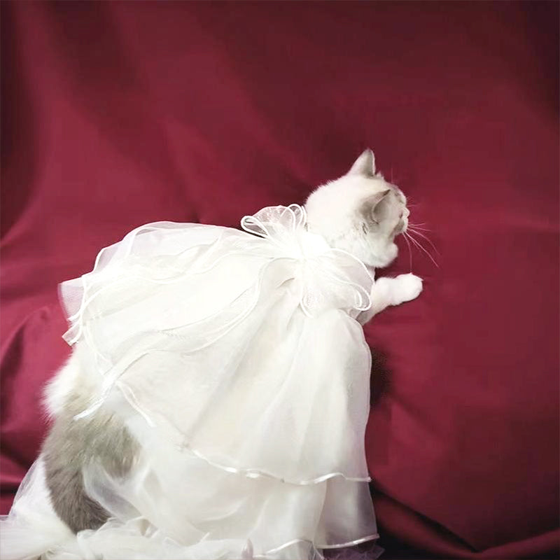 Charming Cat Wedding Gown with Bow