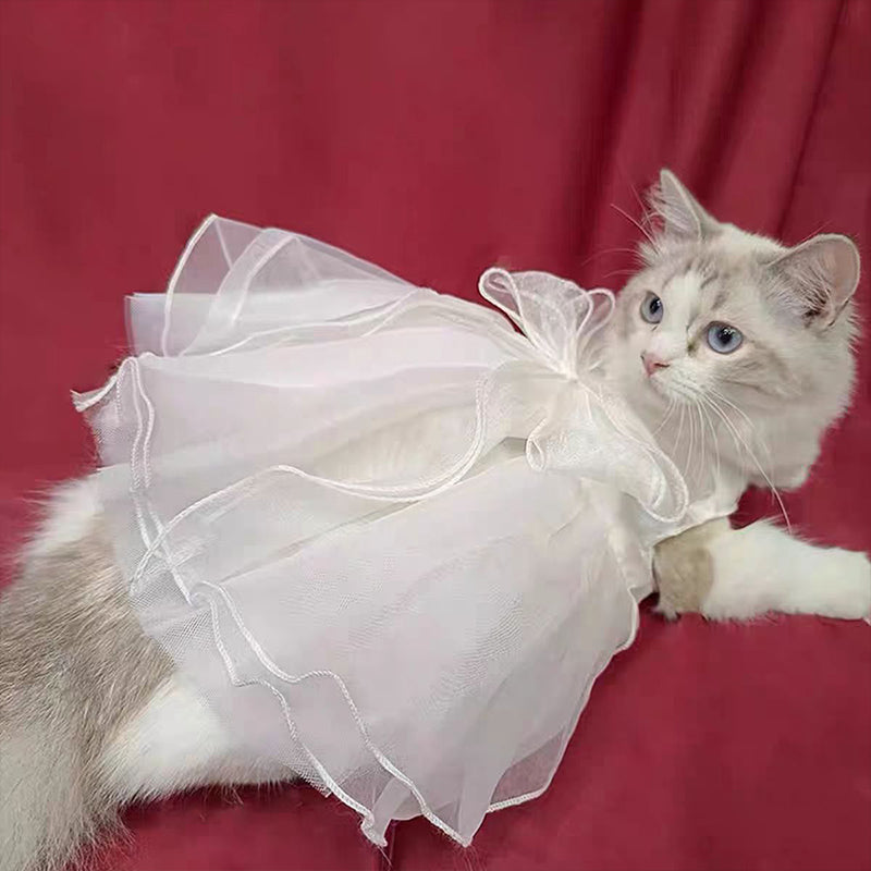 Charming Cat Wedding Gown with Bow