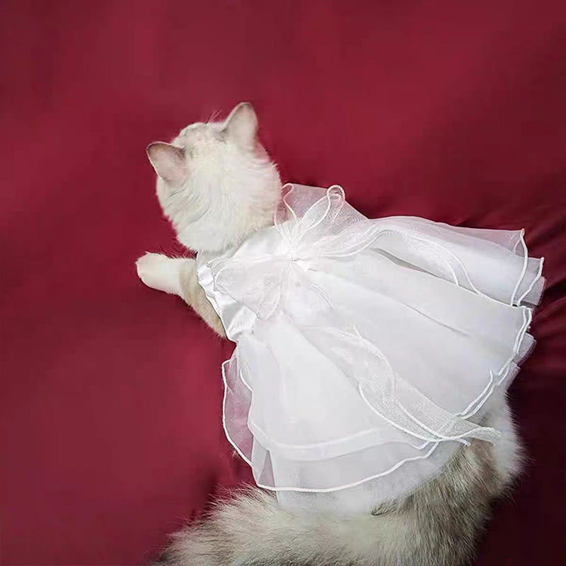 Charming Cat Wedding Gown with Bow