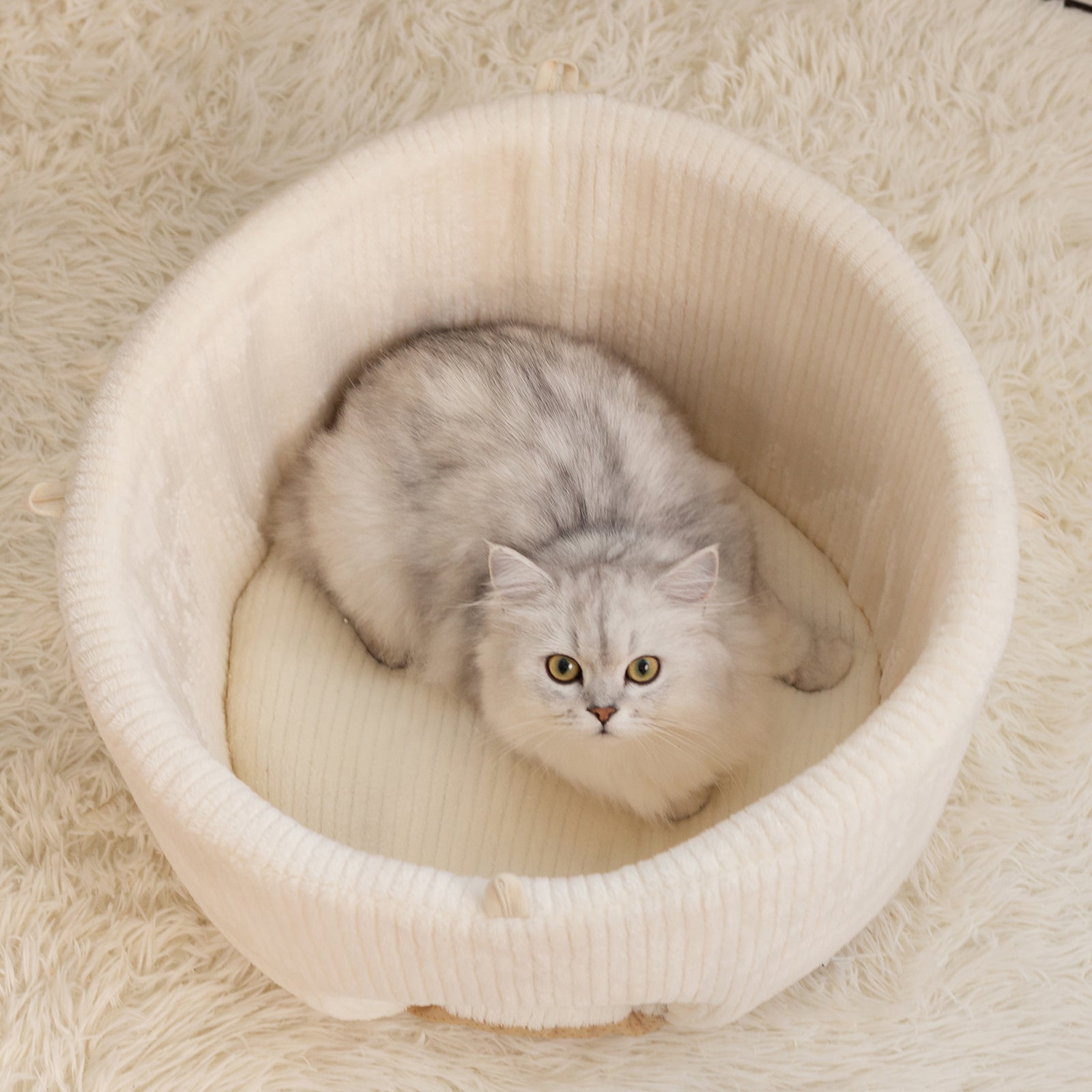 22.8'' Large Mushroom Cat Bed interior