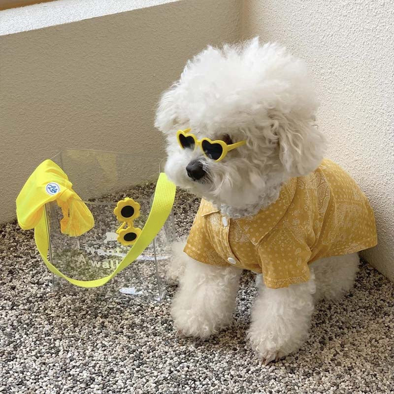 Pet Sunglasses