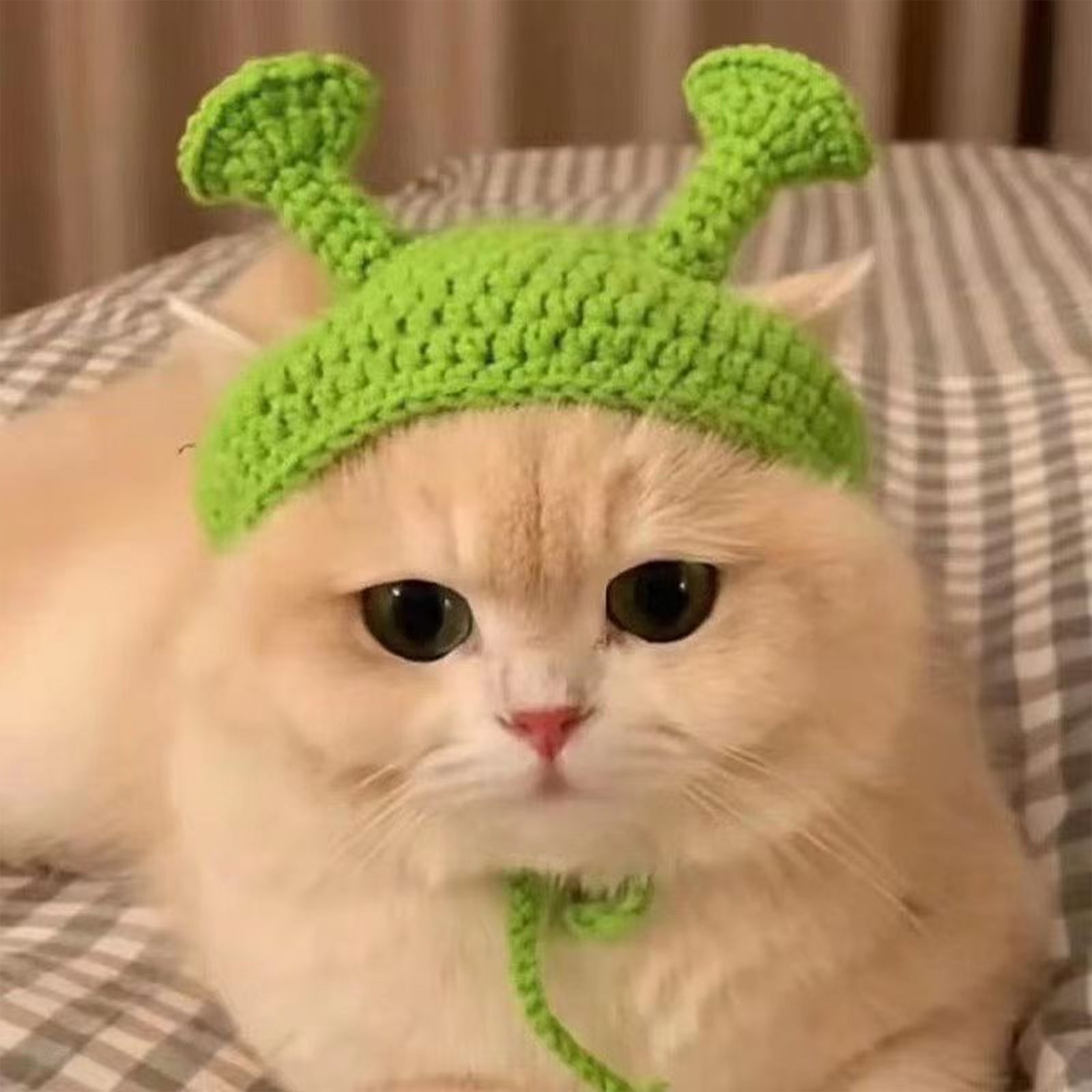 Halloween Knitted Cat Hat