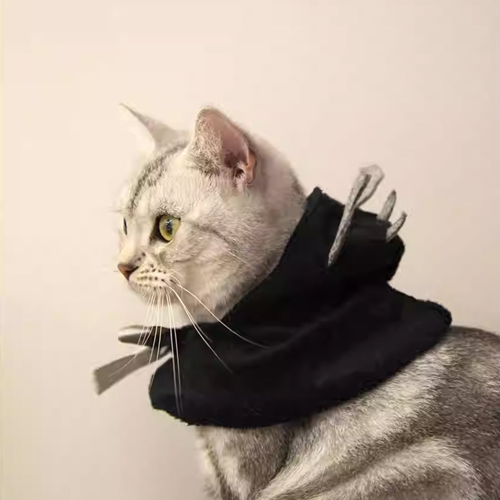 Halloween Bat Wing Cape with Hood for Cats