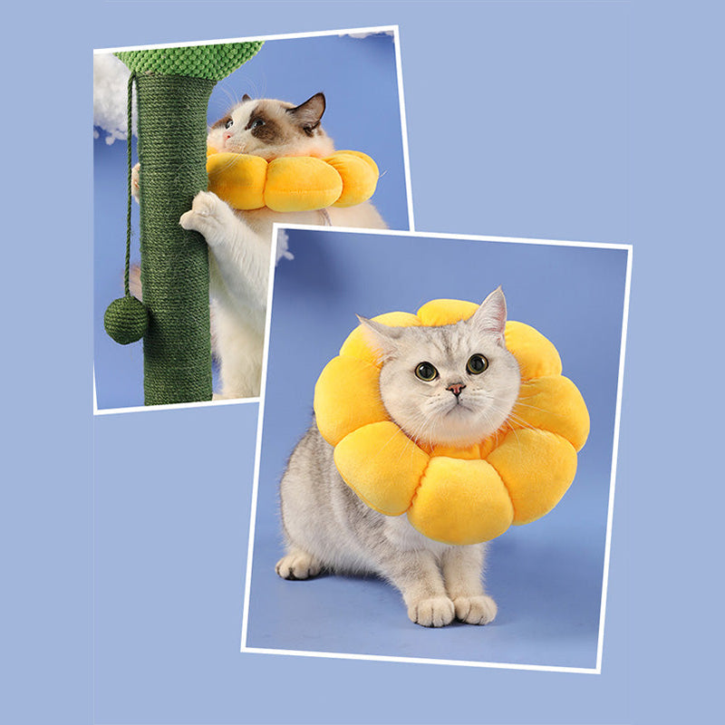 Flower Styled Cat Cone