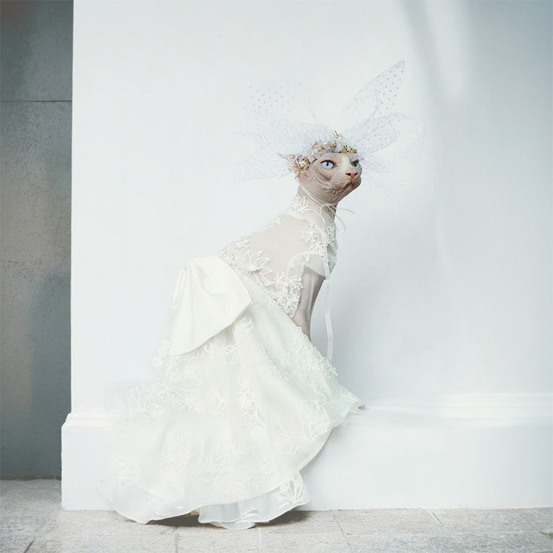 Luxurious Cat Wedding Gown with Train and Veil