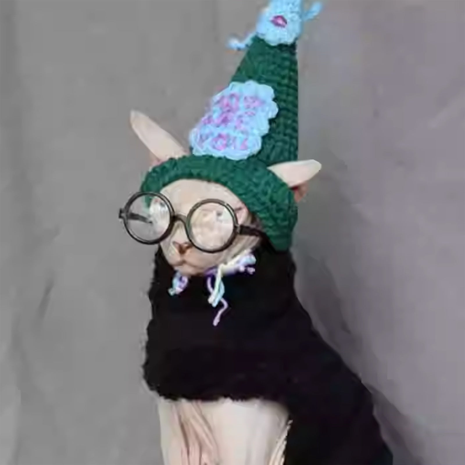 Halloween Magic Academy Cat Hat