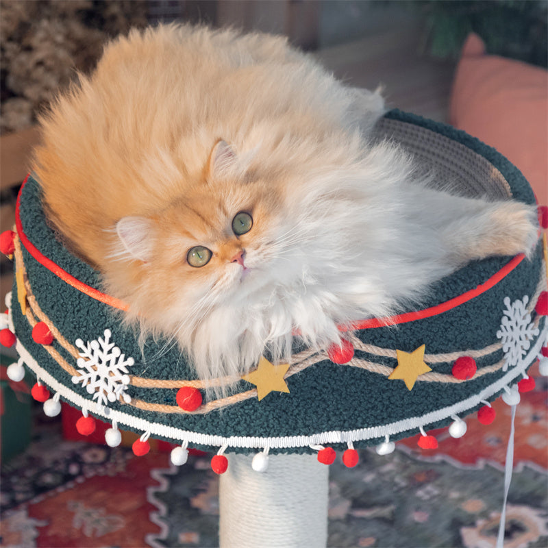 Rotating Music Box Cat Scratcher