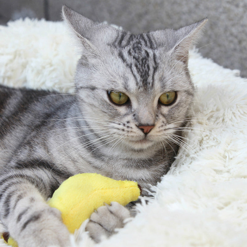 Banana Design Plush Cat Toy