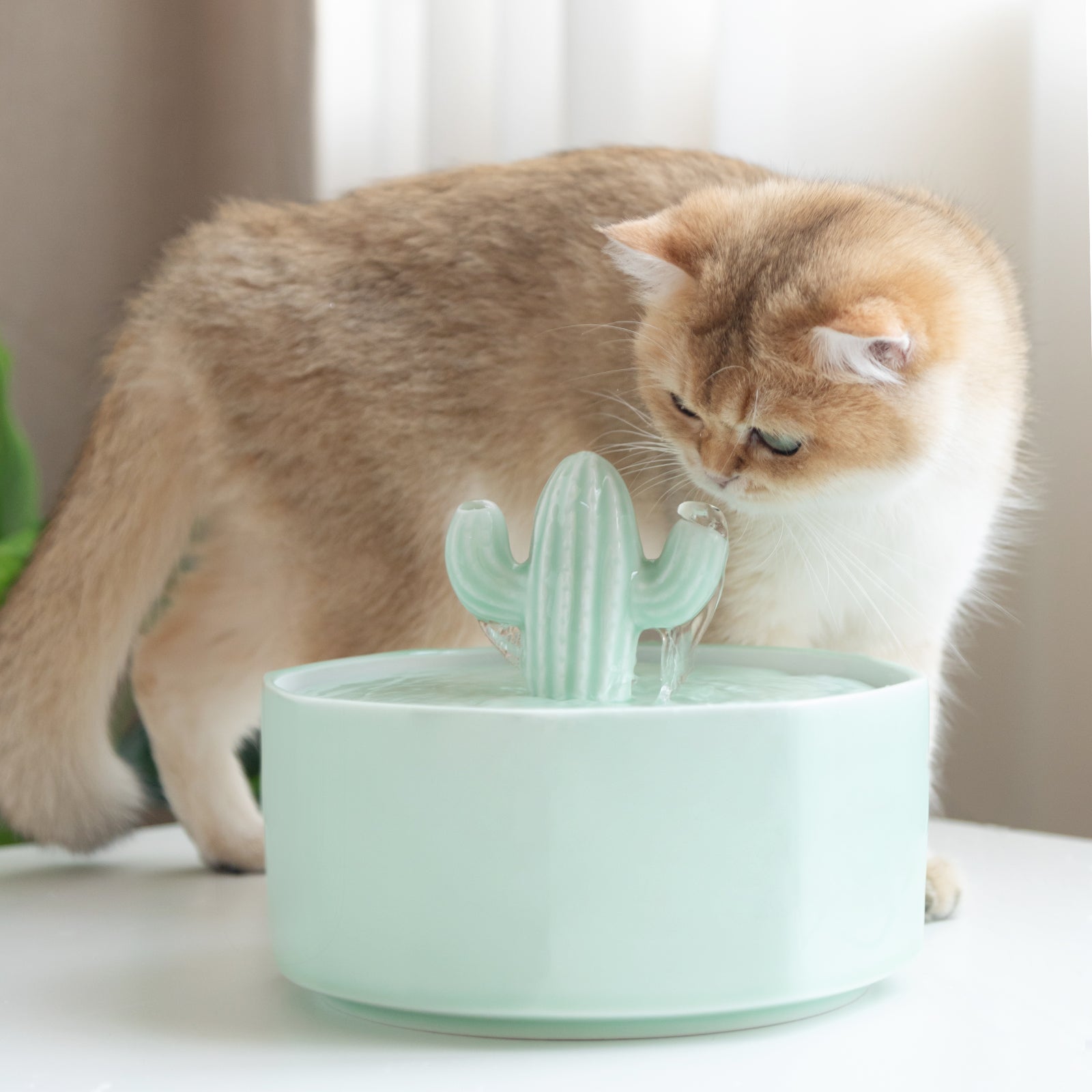 50oz/1.5L Cactus Style Cat Water Fountain