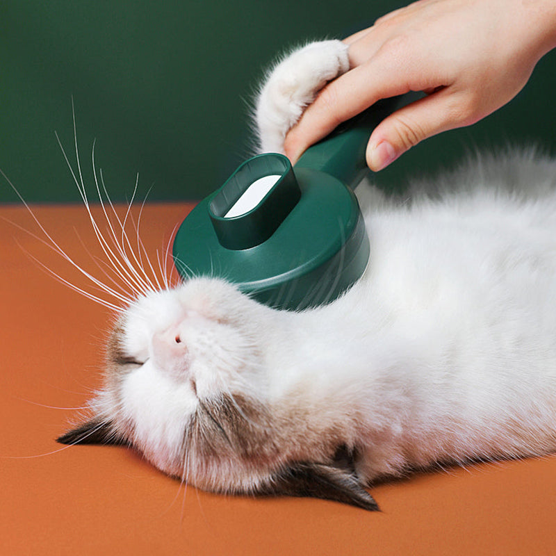 UV Disinfection Cat Groom