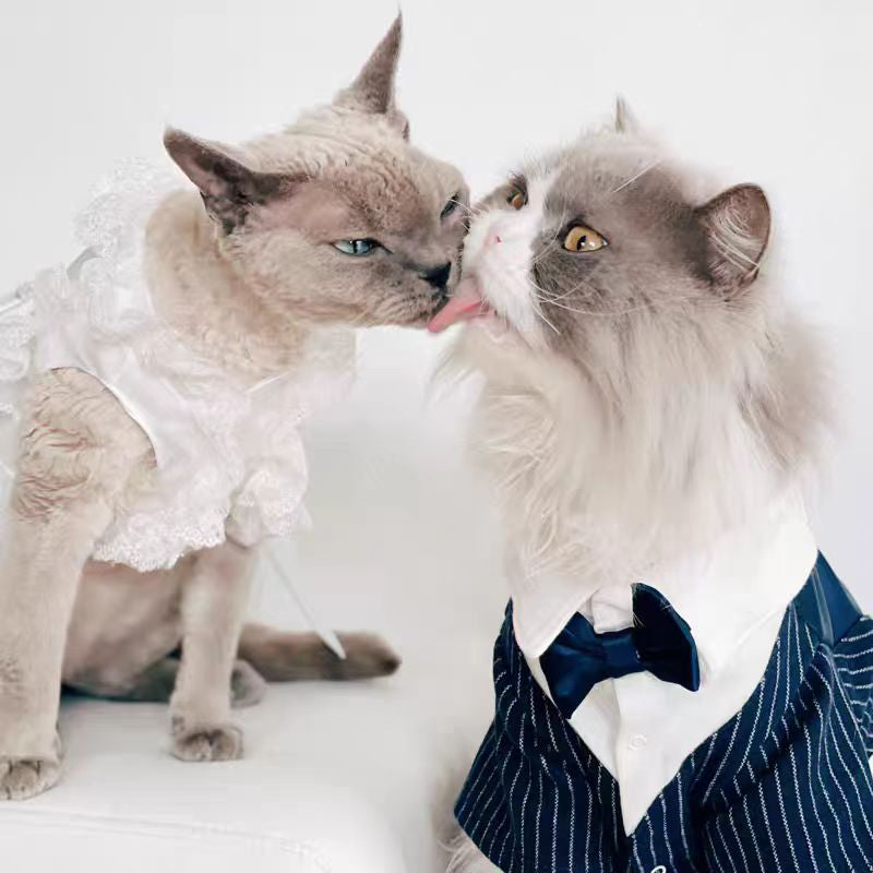 Stylish Cat Wedding Tuxedo