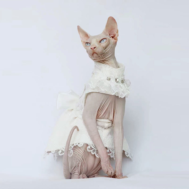 Elegant Cat Wedding Dress with Veil