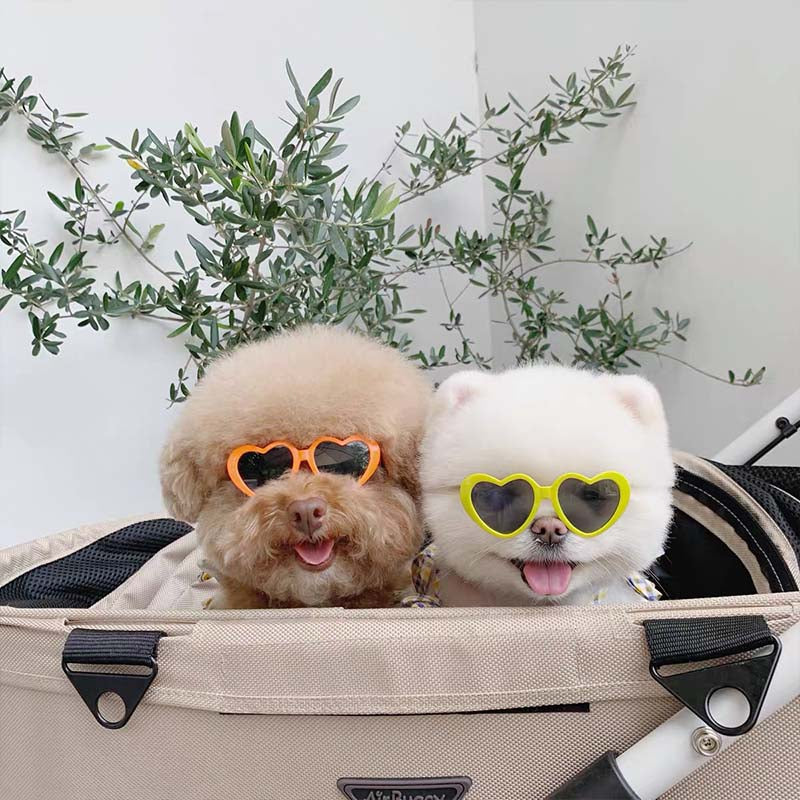 Pet Sunglasses