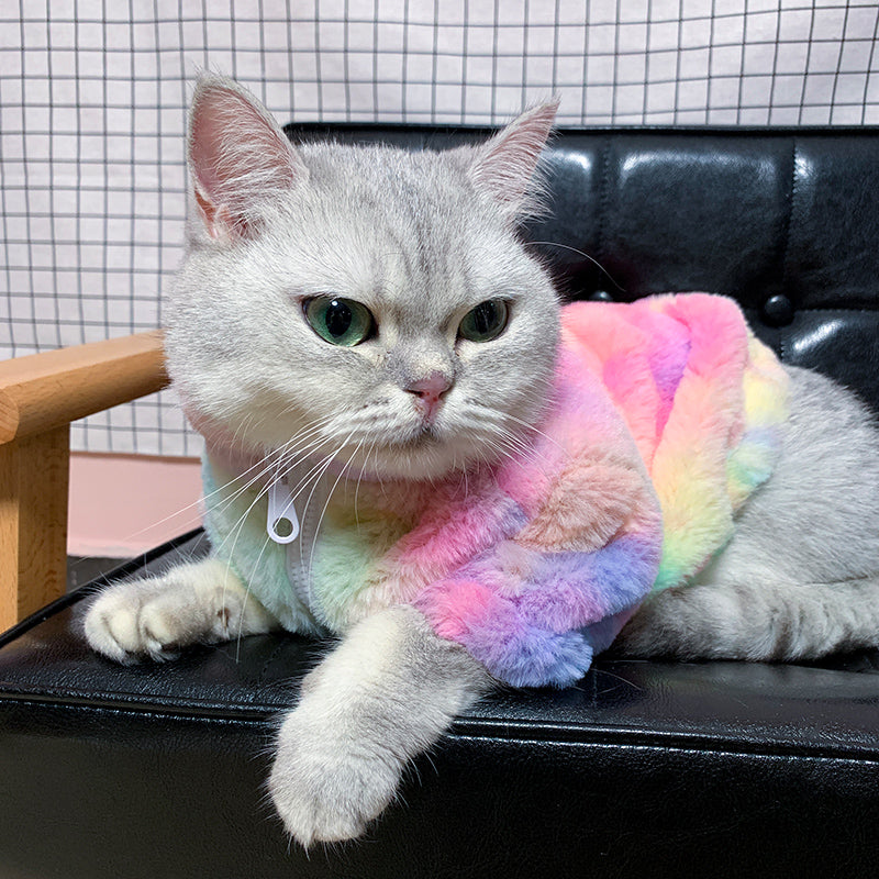 Rainbow Series Tie-Dye Cat Clothes