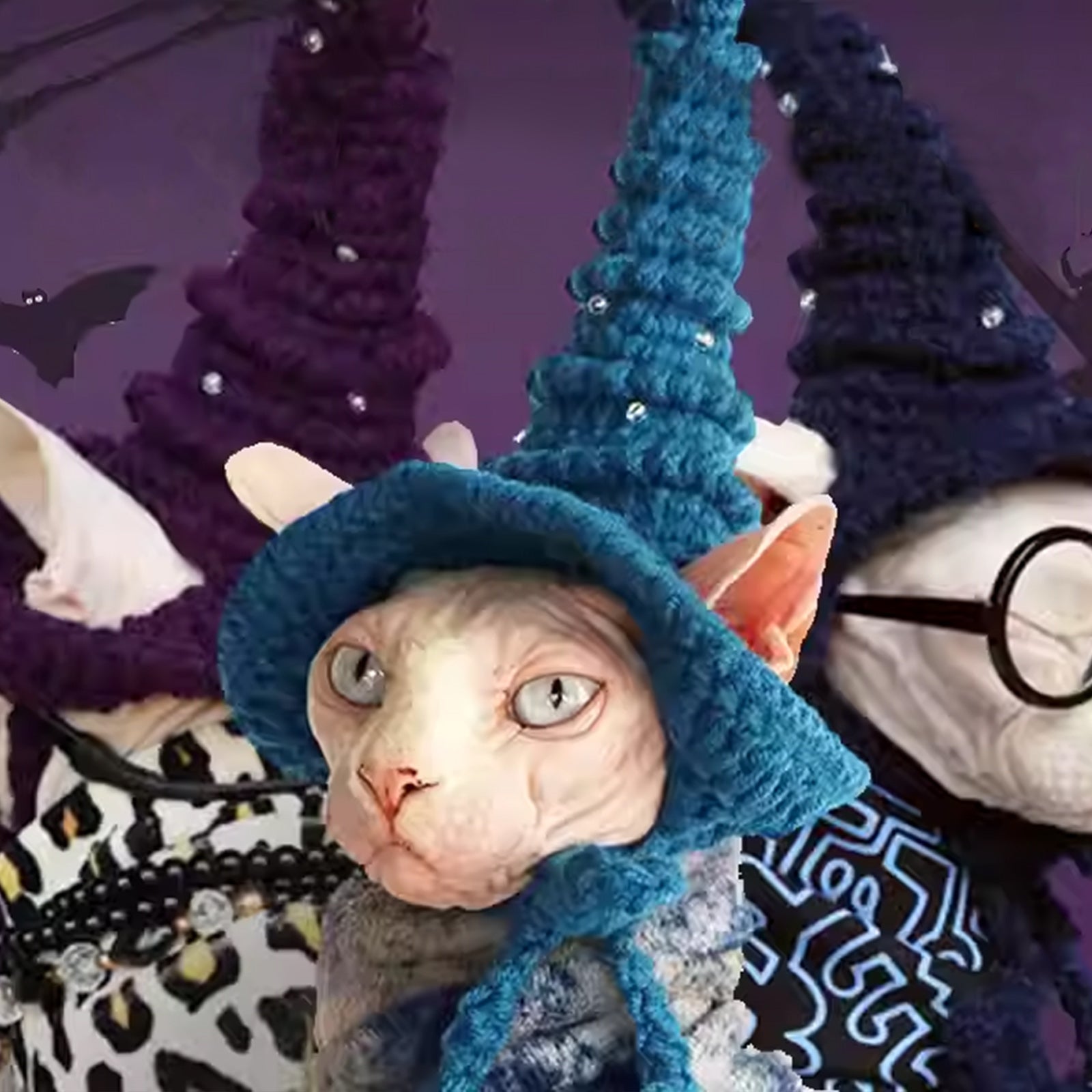 Halloween Magic Academy Cat Hat