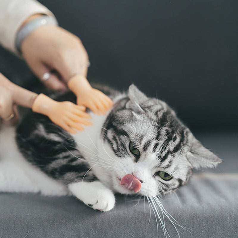 Rubber Finger Cat Toys