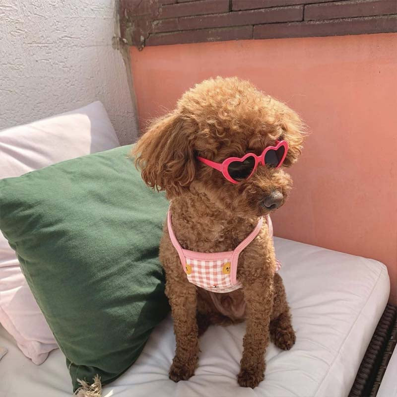 Pet Sunglasses