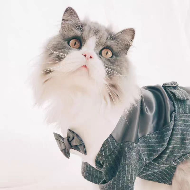 Stylish Cat Wedding Tuxedo