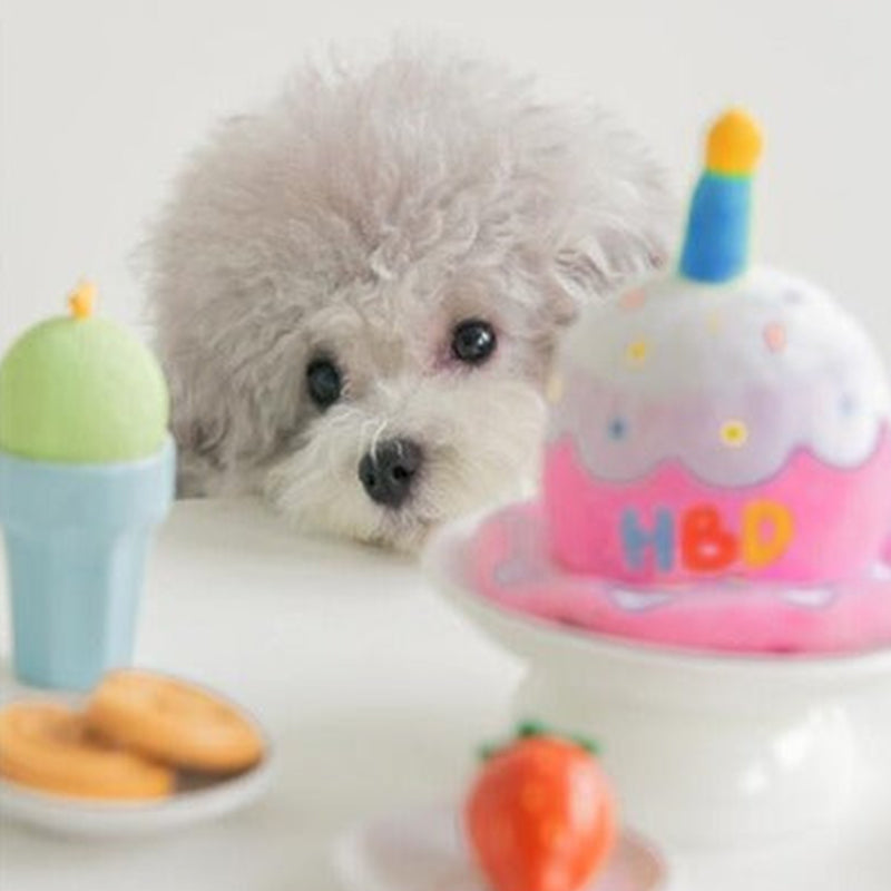 Pet Happy Birthday Hat