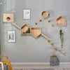 House Shaped Cat Wall