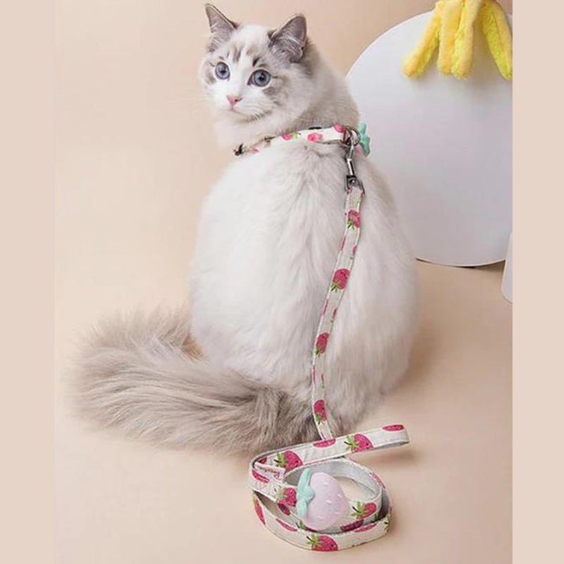 Fruit Style Cat Leashes and Harnesses