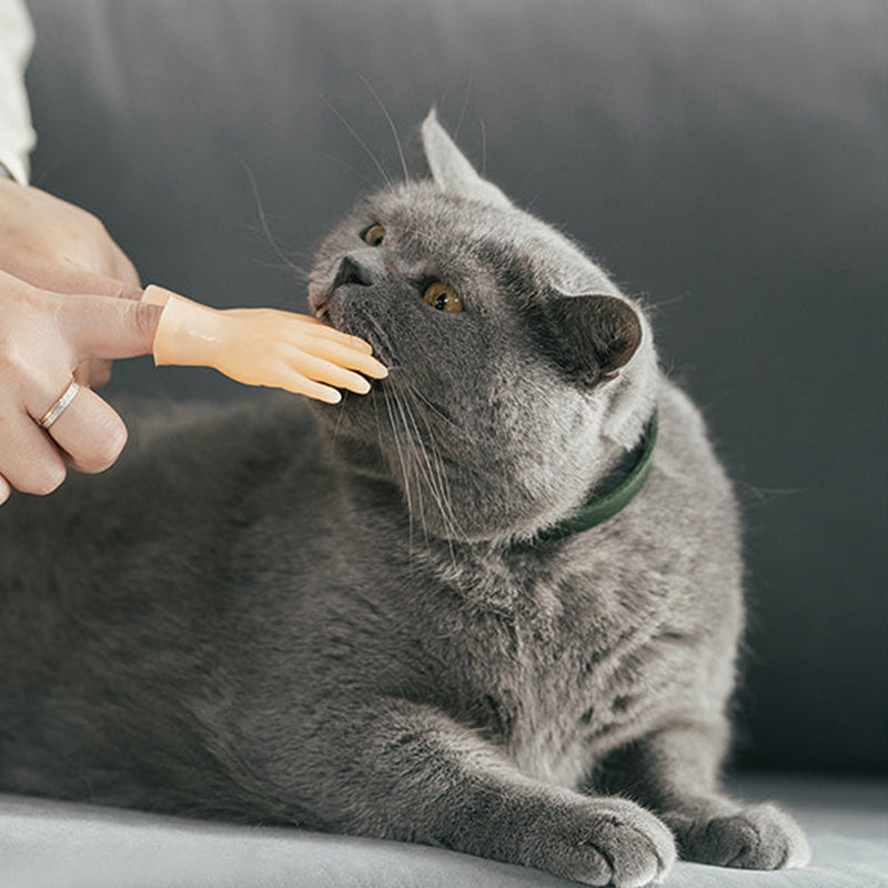 Rubber Finger Cat Toys