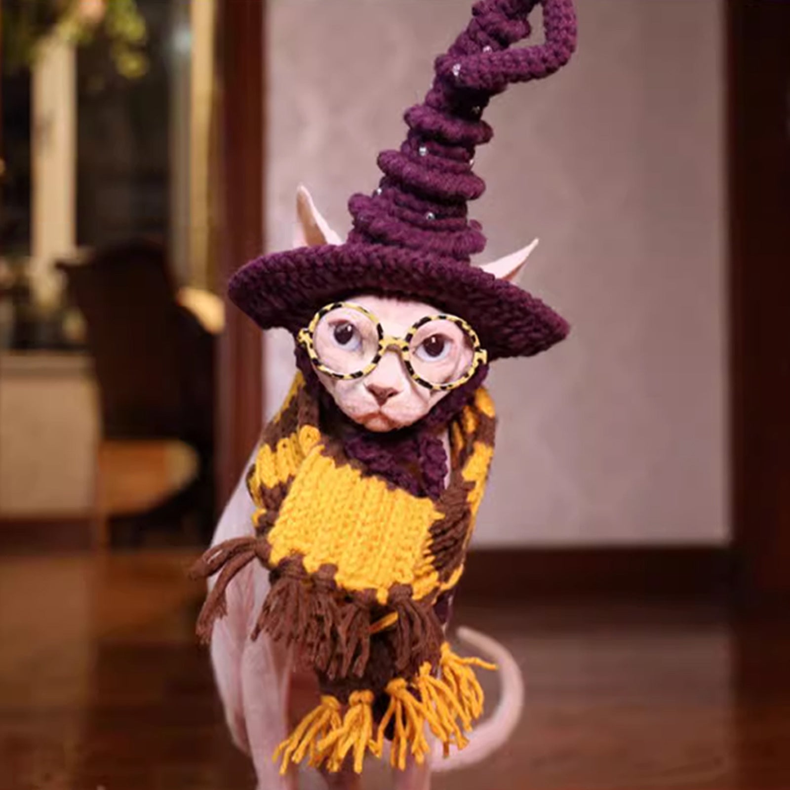 Halloween Magic Academy Cat Hat