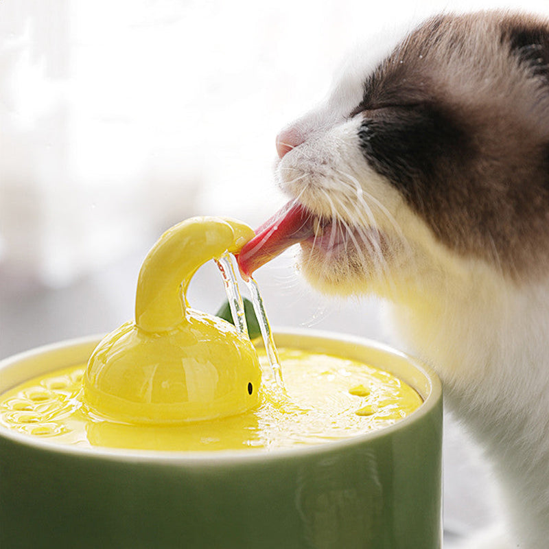 33.8oz/1L Rabbit Cat Water Fountain