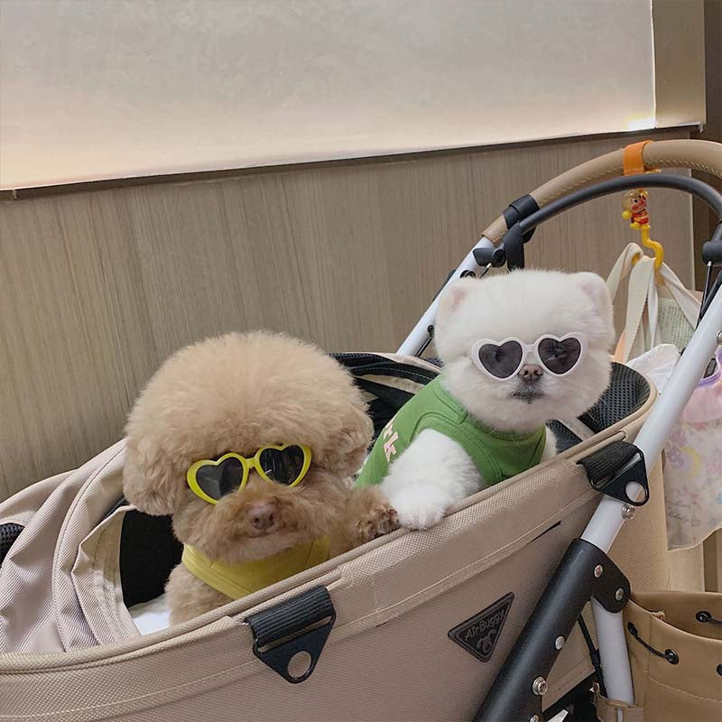 Pet Sunglasses