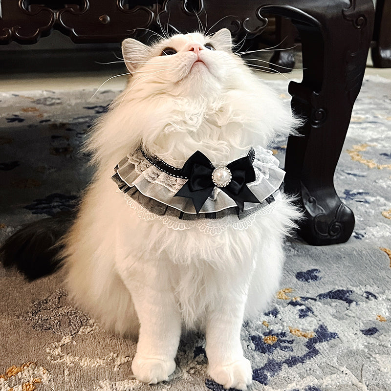 Black Bow Cat Bib