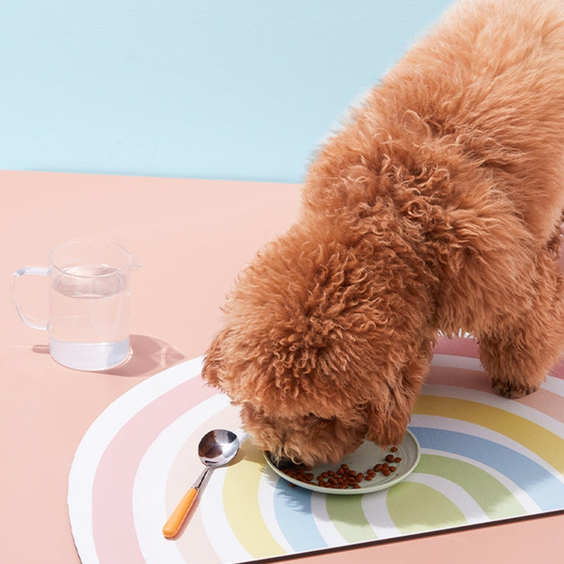 Rainbow Waterproof Food Mat