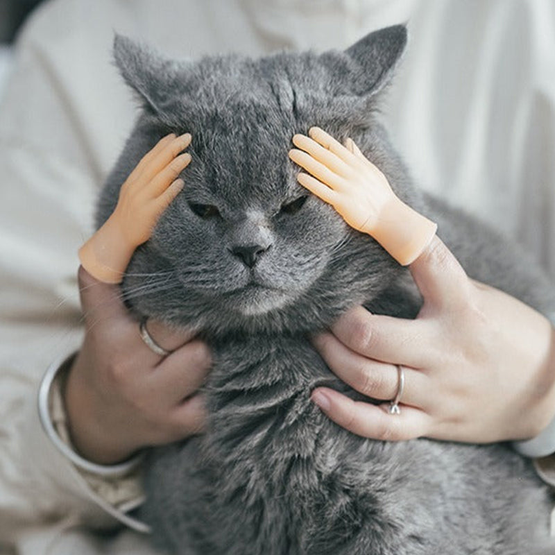 Rubber Finger Cat Toys